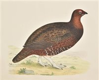 Lot 334 - Morris Beverley. British Game Birds and Wildfowl
