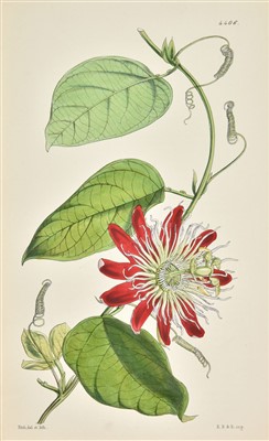 Lot 204 - Curtis (William & others). The Botanical Magazine, 1847-8