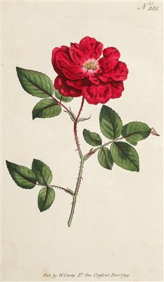 Lot 302 - Curtis (William). The Botanical Magazine or Flower-Garden Displayed, 1787-1794