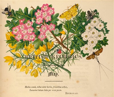 Lot 343 - Grahame (James). British Georgics, 1st edition, 1809, extra-illustrated with floral watercolours