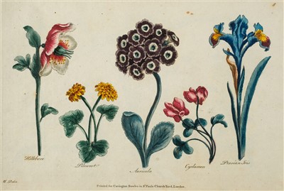 Lot 285 - Heckle (Augustin). Drawing Book for Ladies; or Complete Florist, [1785?]