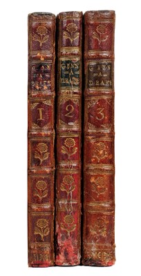 Lot 256 - Fleming (Francis). The Life and Extraordinary Adventures of Timothy Ginnadrake, 1771