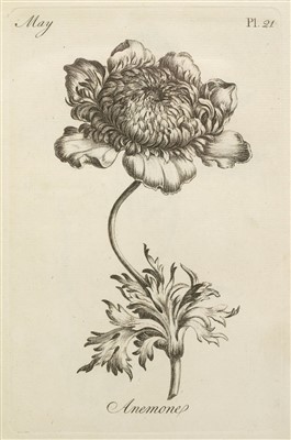 Lot 233 - Sayer (Robert, publisher). The Florist, 1st edition, [c.1760]