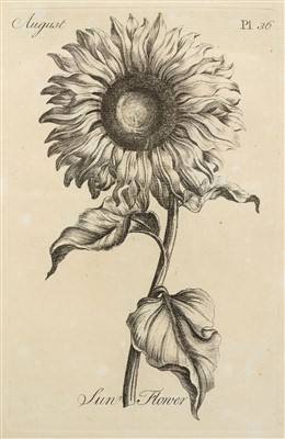 Lot 233 - Sayer (Robert, publisher). The Florist, 1st edition, [c.1760]