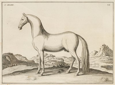Lot 229 - D'Eisenberg (Friedrich Wilhelm, Baron von). L'Art de Monter a Cheval, 1759