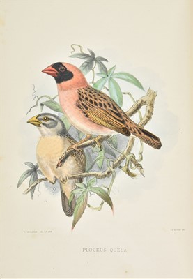 Lot 86 - Keulemans (John Gerrard). A Natural History of Cage Birds, 1st edition, 1871