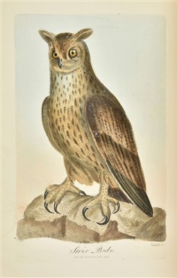 Lot 76 - Graves (George). British Ornithology, 2nd edition, 1821