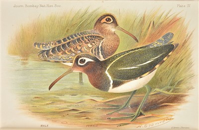 Lot 70 - Baker (E. C. Stuart). Indian Snipe, 1911 [and others]