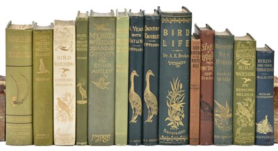Lot 98 - Oates (Frank). Matabele Land, 2nd edition, 1889, author's copy [and others]