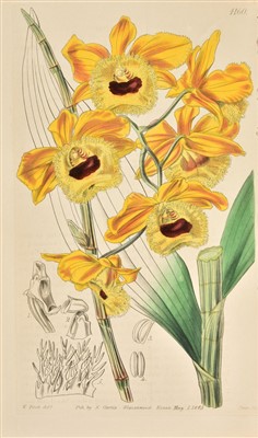 Lot 202 - Curtis (William & others). Collection of 300 botanical prints, 19th century