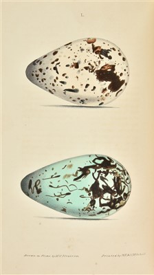 Lot 80 - Hewitson (William C.). British Oology, 1st edition, 1831-42