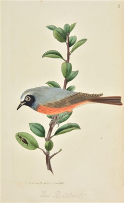 Lot 109 - Sweet (Robert). The British Warblers, 1823 [and others]