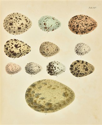 Lot 111 - Thienemann (Friedrich August Ludgwig). Fortpflanzung der Vögel Europa's, 1st edition, 1825