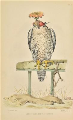Lot 99 - Salvin (Francis Henry, & William Brodrick). Falconry in the British Isles, 2nd edition, 1873