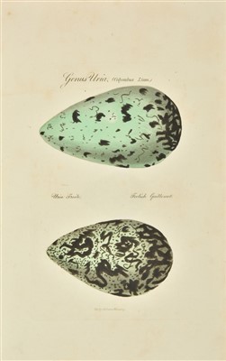 Lot 77 - Graves (George). Ovarium Britannicum, 1st edition, 1816 [and others]