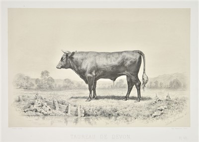 Lot 120 - Baudement: (Emile). Les Races Bovines', Paris 1861