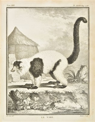 Lot 301 - Buffon (George Louis Leclerc, comte de). Histoire naturelle, 1749-65
