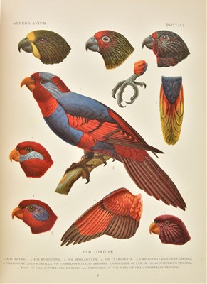 Lot 115 - Wytsman (Philogène). Genera Avium, 1st edition, 1905-14