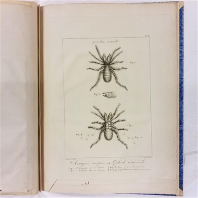 Lot 37 - Sonnini (Charles Sigisbert). Voyage en Grèce et en Turquie, [atlas volume only], 1801