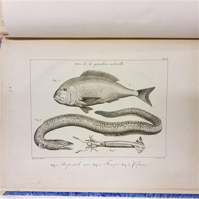 Lot 37 - Sonnini (Charles Sigisbert). Voyage en Grèce et en Turquie, [atlas volume only], 1801