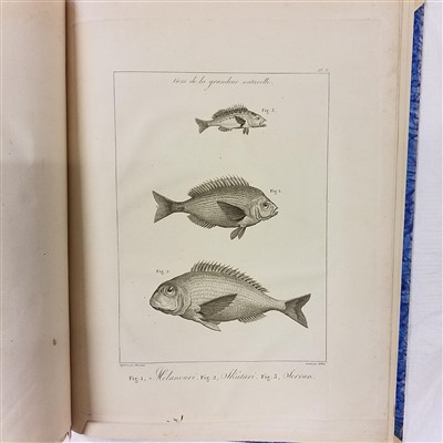 Lot 37 - Sonnini (Charles Sigisbert). Voyage en Grèce et en Turquie, [atlas volume only], 1801
