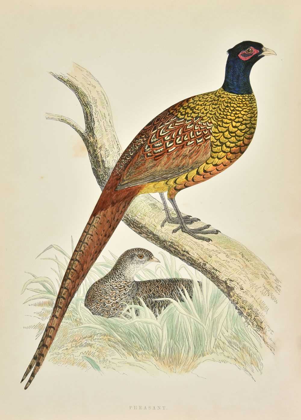 Lot 74 - Morris (Beverley R.) British Game Birds and Wildfowl, 1st edition, 1855
