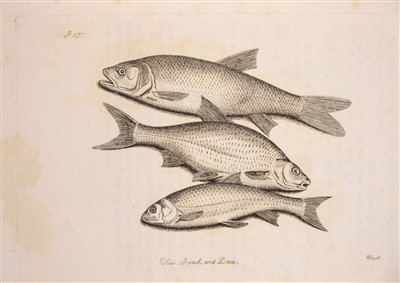 Lot 83 - Walton (Isaac & Cotton Charles). The Complete Angler 1808