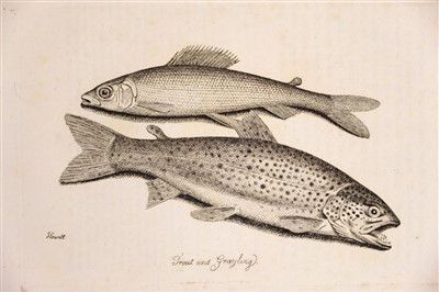 Lot 83 - Walton (Isaac & Cotton Charles). The Complete Angler 1808