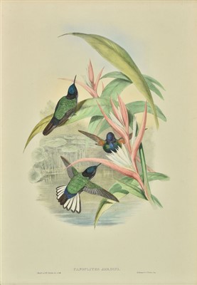 Lot 191 - Gould (John), Three lithographs, circa 1870