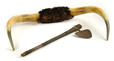 Lot 113 - Buffalo Horns. A large pair of early 20th century buffalo horns