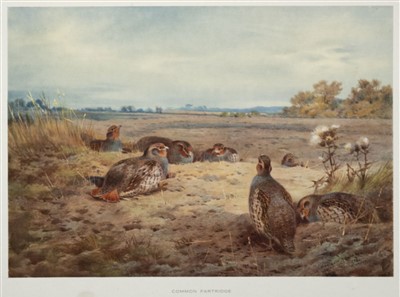 Lot 113 - Thorburn (Archibald). Game Birds and Wild-Fowl of Great Britain and Ireland, 1923