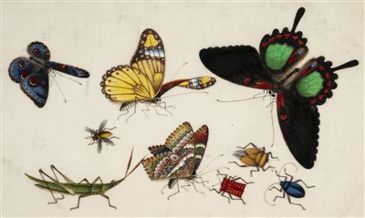 Lot 70 - Chinese Pith Paintings. Nine paintings, late 19th century