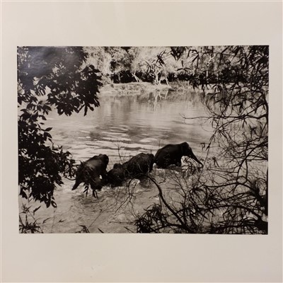 Lot 266 - India. A presentation photograph album, circa 1948