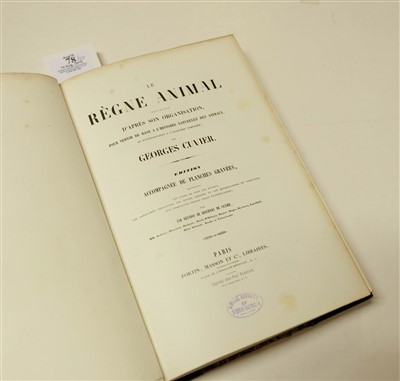 Lot 78 - Couvier (Georges et al). Le Regne Animal distribue d'apres son organisation