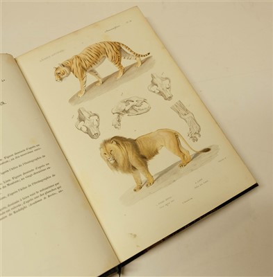 Lot 78 - Couvier (Georges et al). Le Regne Animal distribue d'apres son organisation