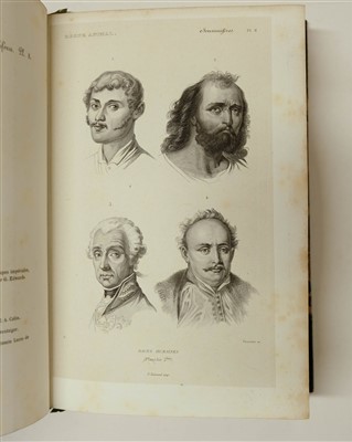 Lot 78 - Couvier (Georges et al). Le Regne Animal distribue d'apres son organisation