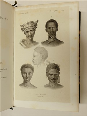 Lot 78 - Couvier (Georges et al). Le Regne Animal distribue d'apres son organisation