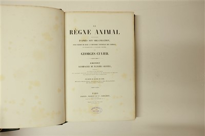 Lot 78 - Couvier (Georges et al). Le Regne Animal distribue d'apres son organisation