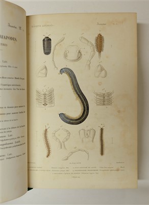 Lot 78 - Couvier (Georges et al). Le Regne Animal distribue d'apres son organisation