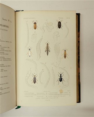 Lot 78 - Couvier (Georges et al). Le Regne Animal distribue d'apres son organisation