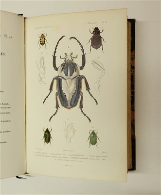 Lot 78 - Couvier (Georges et al). Le Regne Animal distribue d'apres son organisation