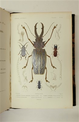 Lot 78 - Couvier (Georges et al). Le Regne Animal distribue d'apres son organisation