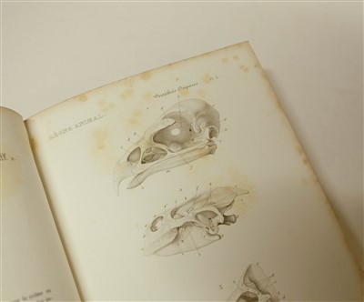 Lot 78 - Couvier (Georges et al). Le Regne Animal distribue d'apres son organisation