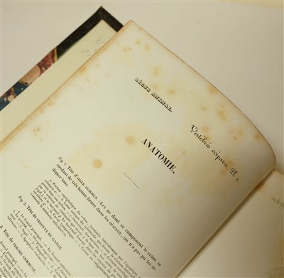 Lot 78 - Couvier (Georges et al). Le Regne Animal distribue d'apres son organisation