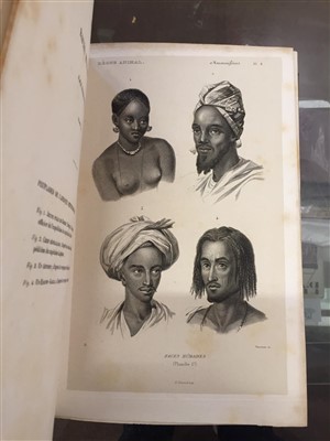 Lot 78 - Couvier (Georges et al). Le Regne Animal distribue d'apres son organisation