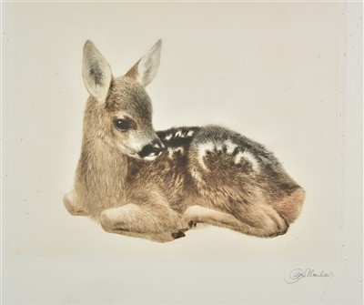 Lot 32 - Meyer-Eberhardt (Kurt, 1895-1977). Young Roe Deer and Young Donkey