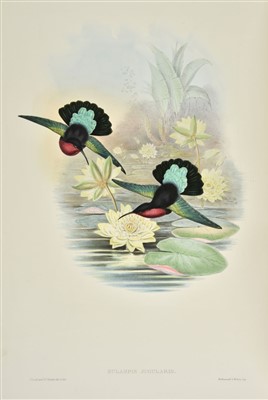 Lot 210 - Gould (John). A Monograph of the Trochilidae, 1st edition, original parts, 1849-61