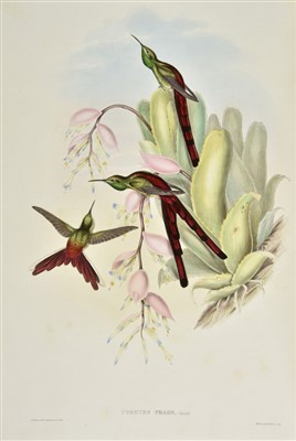 Lot 210 - Gould (John). A Monograph of the Trochilidae, 1st edition, original parts, 1849-61