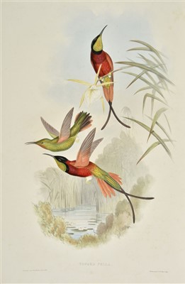 Lot 210 - Gould (John). A Monograph of the Trochilidae, 1st edition, original parts, 1849-61