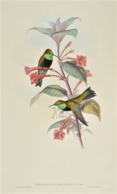 Lot 210 - Gould (John). A Monograph of the Trochilidae, 1st edition, original parts, 1849-61